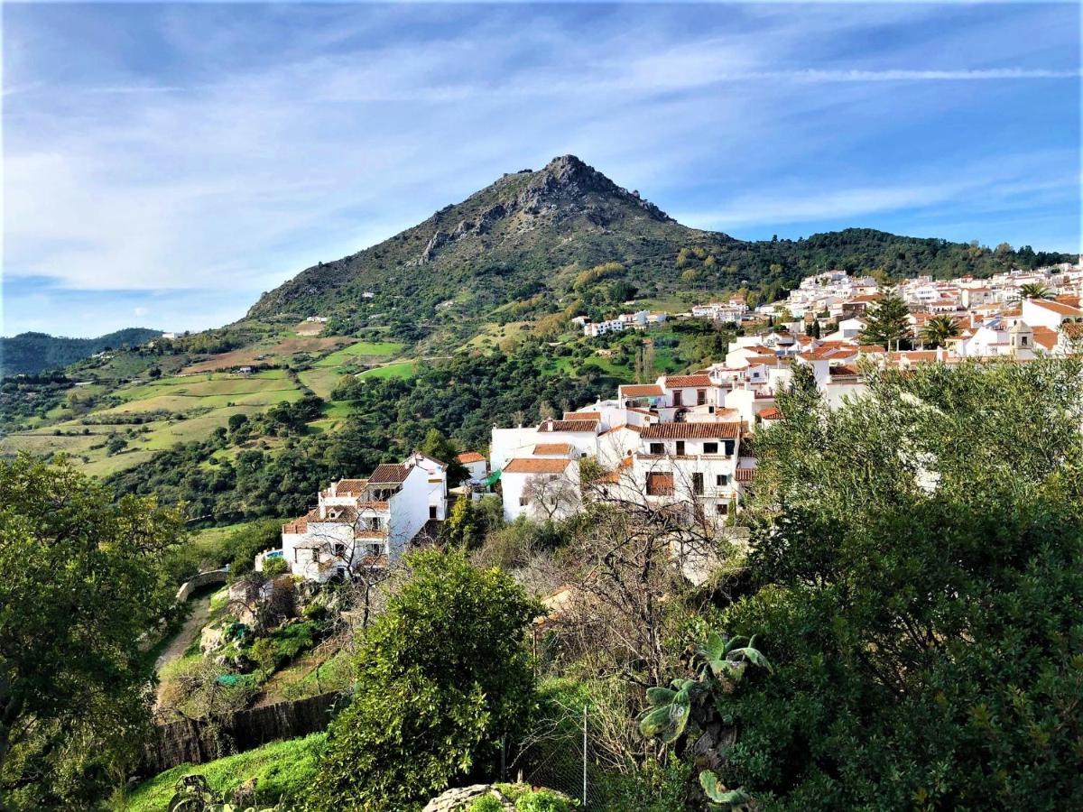 Nilva Mountain - Manilva Villa エクステリア 写真